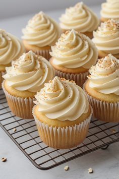 Vanilla Cupcakes